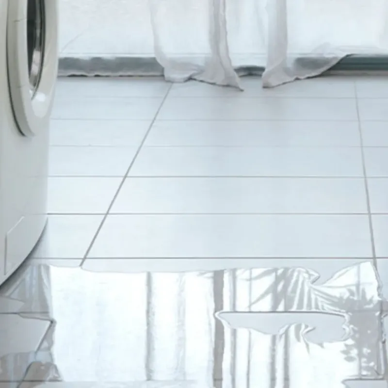 Appliance Leak Cleanup in Harris County, GA